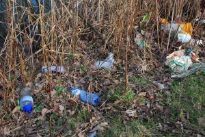 photo: Peter de Ruijter (2012)