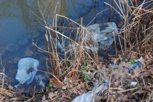 photo: peter de ruijter (2012)